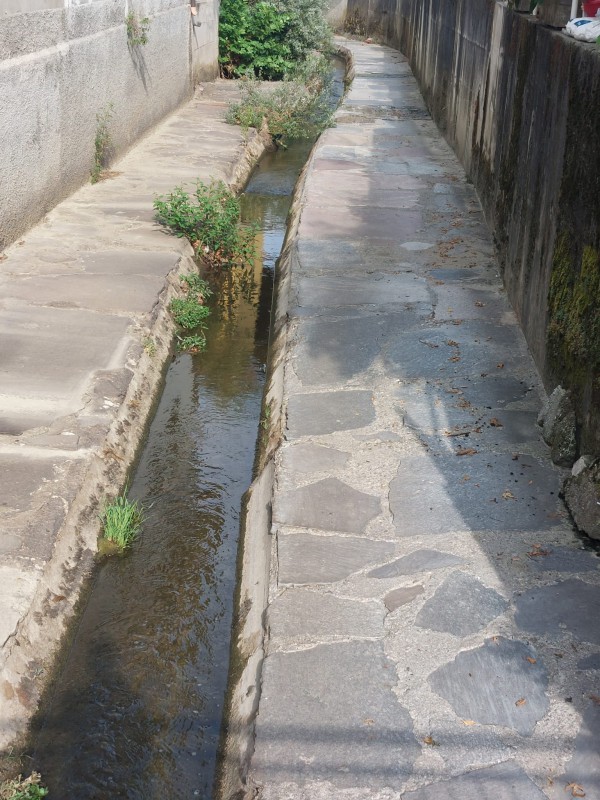 Bevera_Molteno_via_Riva_20260716_1.jpg (147 KB)