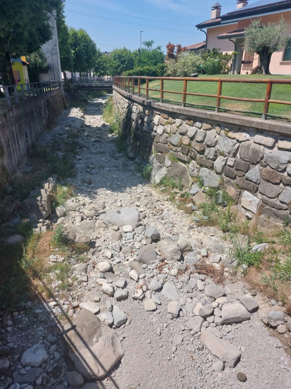 Gandaloglio_Dolzago_Parini_20260716_2.jpg (181 KB)