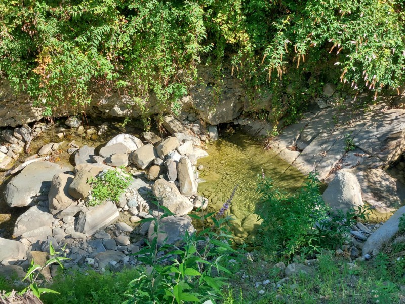 Gandaloglio_Ello_Marconaga_20260716_2.jpg (224 KB)