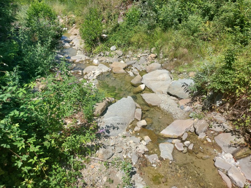 Gandaloglio_Ello_Marconaga_20260716_3.jpg (226 KB)