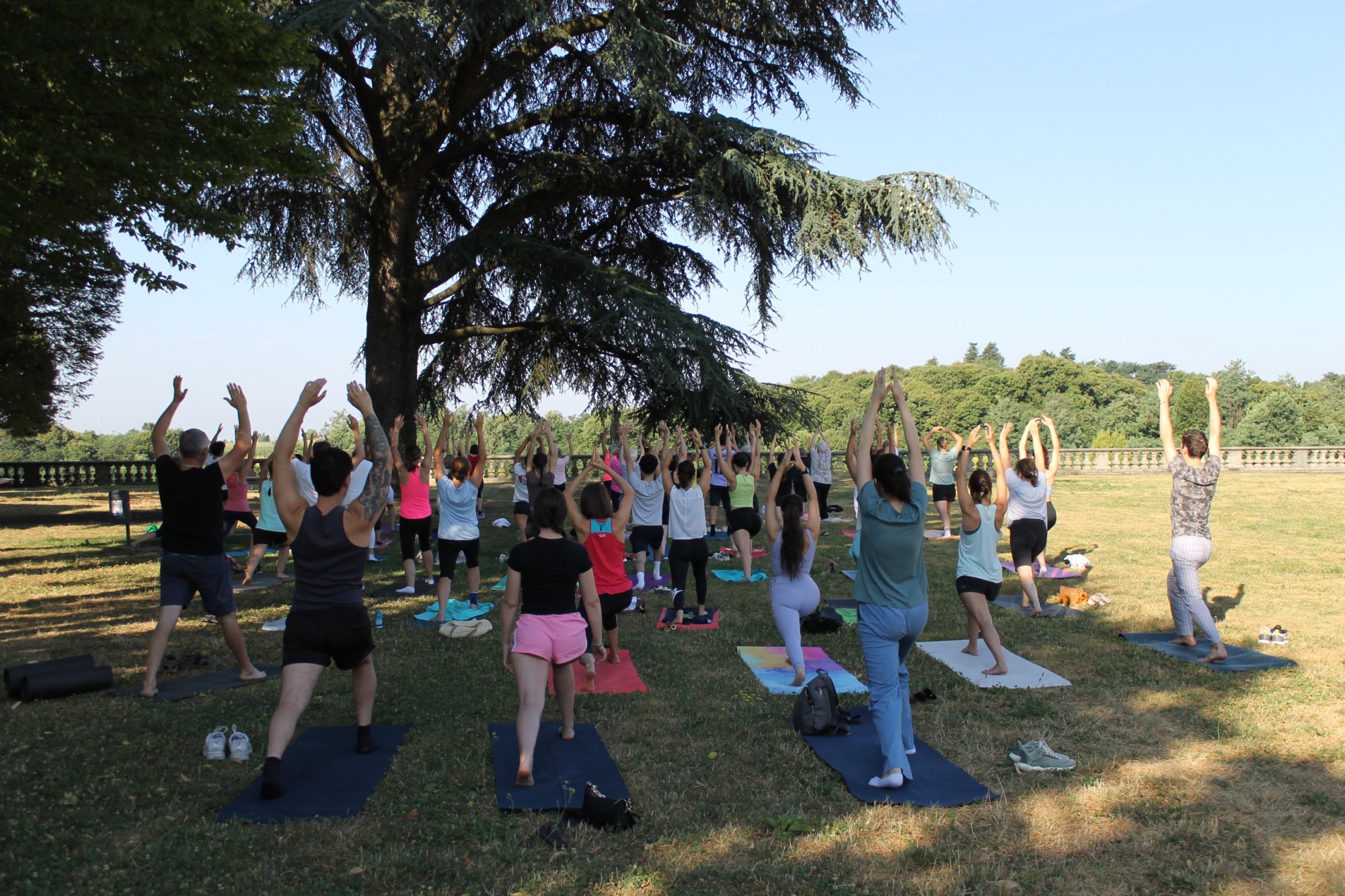 casatenovoyoga__21_.jpg (704 KB)
