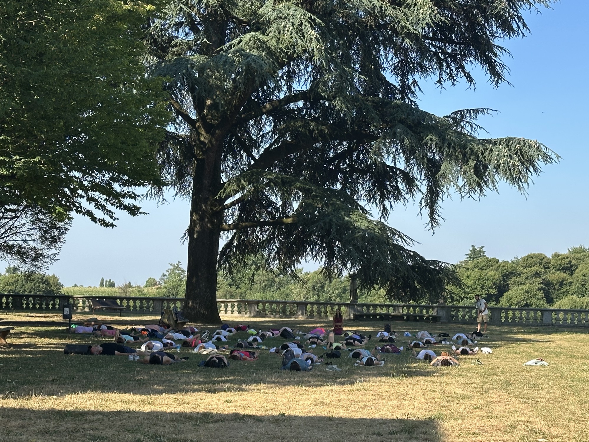 casatenovoyoga__8_.jpg (944 KB)