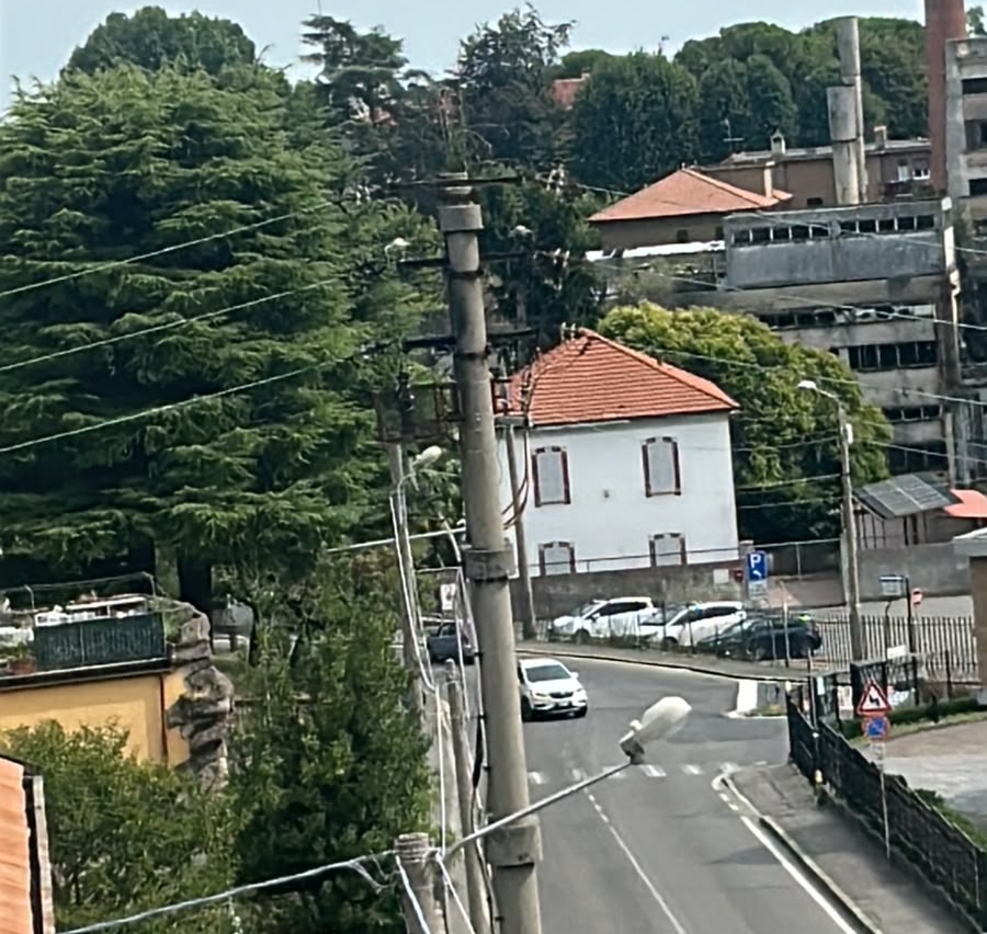 casatepalo1.jpg (438 KB)