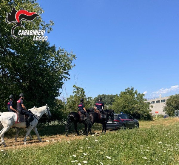cc_cavallo__1_.jpg (181 KB)