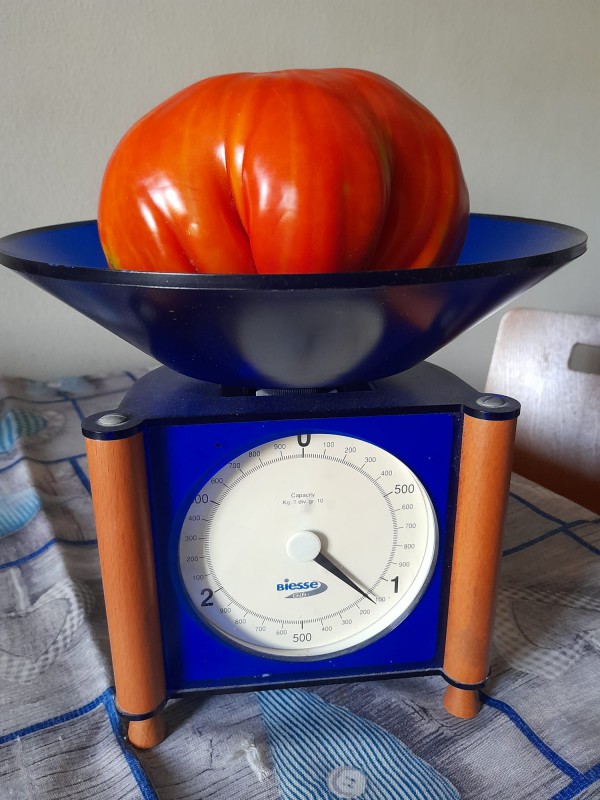 pomodoro.jpeg (102 KB)