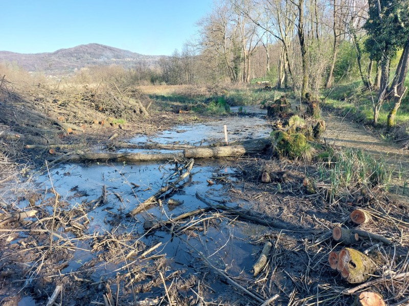 Oggiono: cancellata un'area umida per far posto alla vasca del Gandaloglio