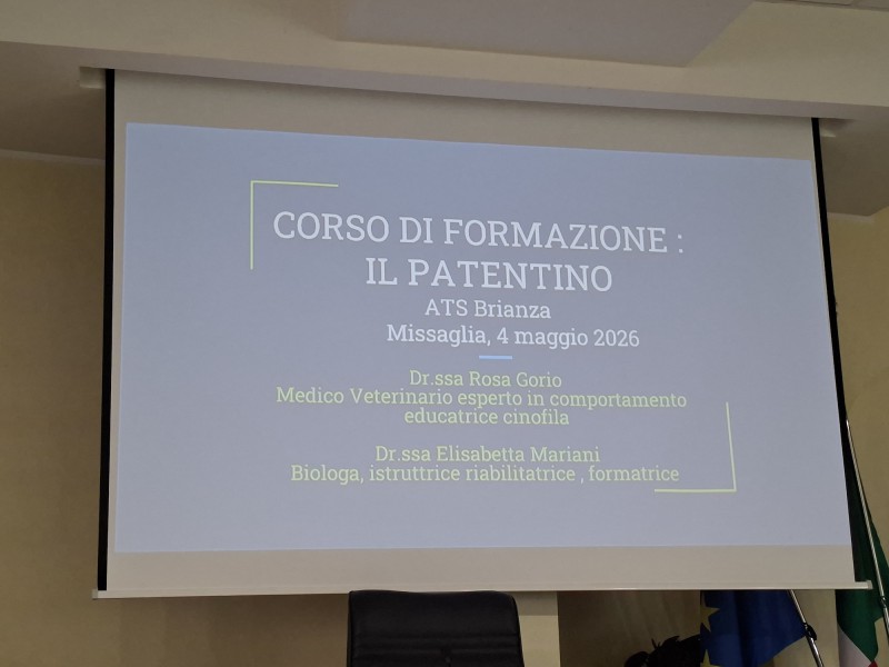 Missaglia_Ats_Cani3.jpg (53 KB)