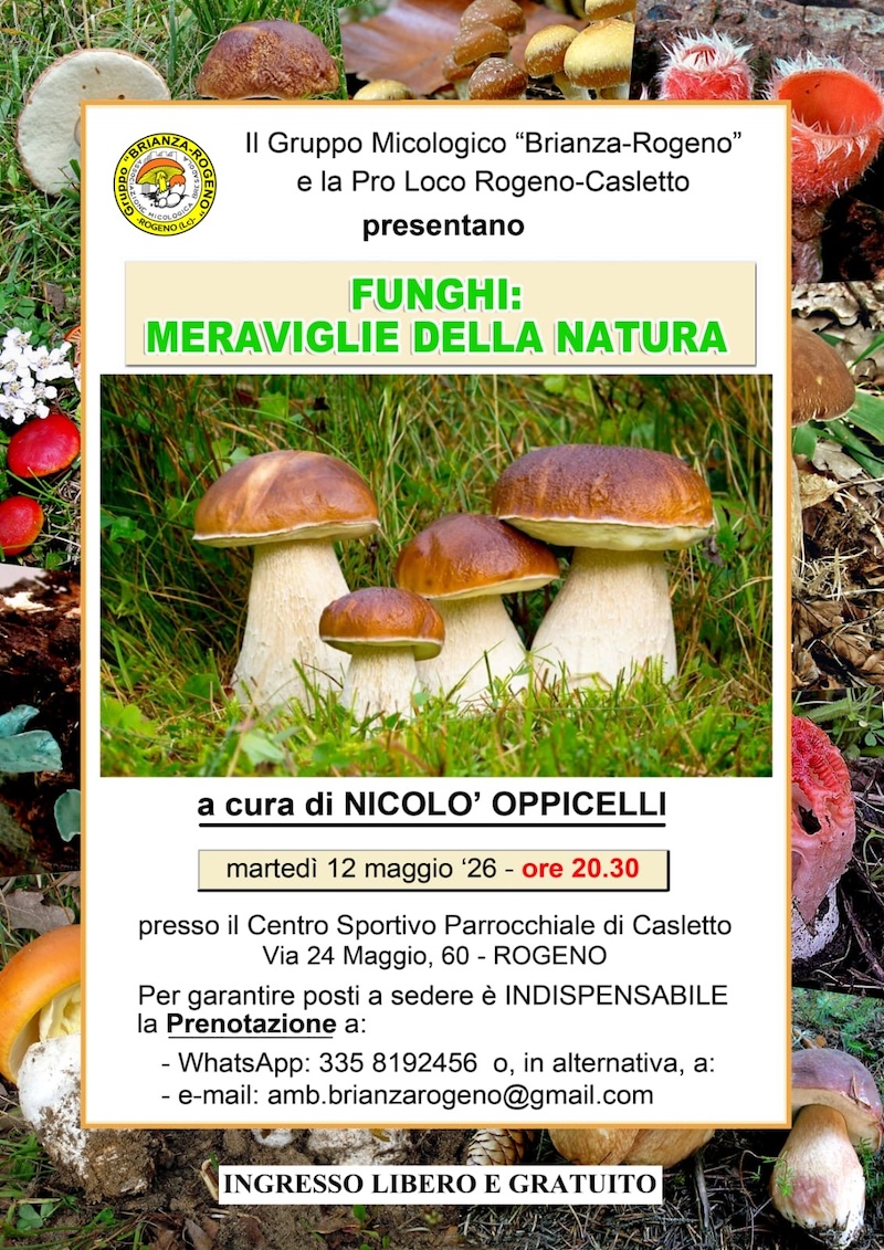 Rogeno_loc_funghi.JPG (456 KB)