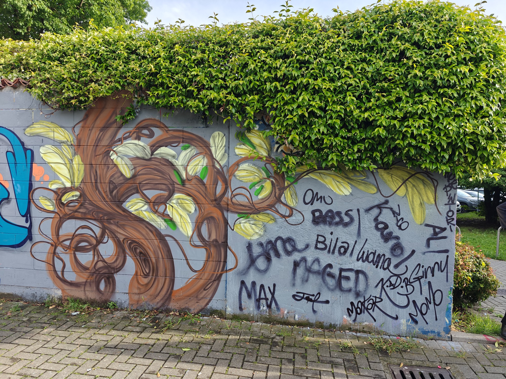 oggiono_murales_oratorio__12_.jpg (1.21 MB)