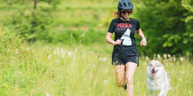 pedalalupi26.jpg (131 KB)