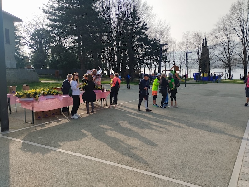 Bosisio_camminata4.jpg (242 KB)