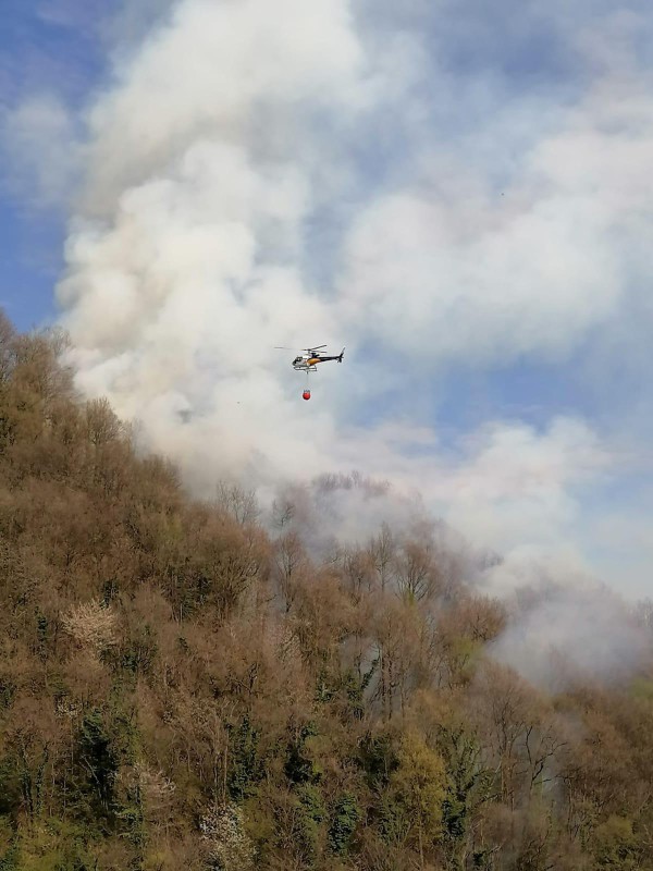 ColleSmhIncendio2.jpg (92 KB)