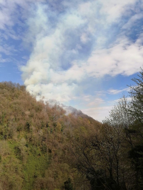 ColleSmhIncendio3.jpg (113 KB)