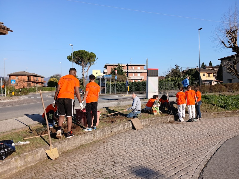 IMG-20260319-WA0005.jpg (225 KB)