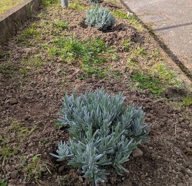 IMG-20260319-WA0006.jpg (336 KB)