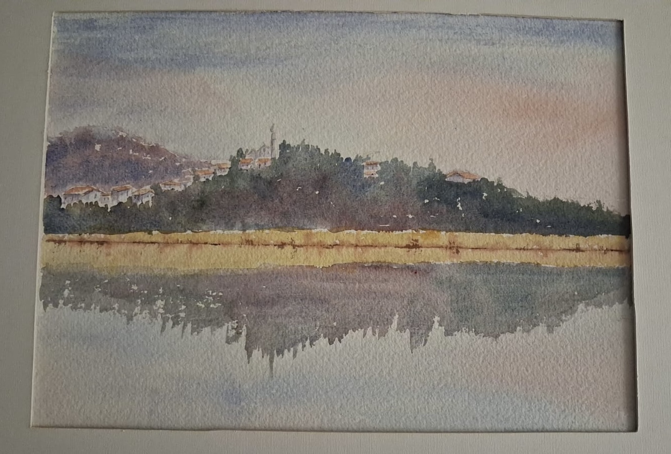 IMG_2252.jpeg (389 KB)