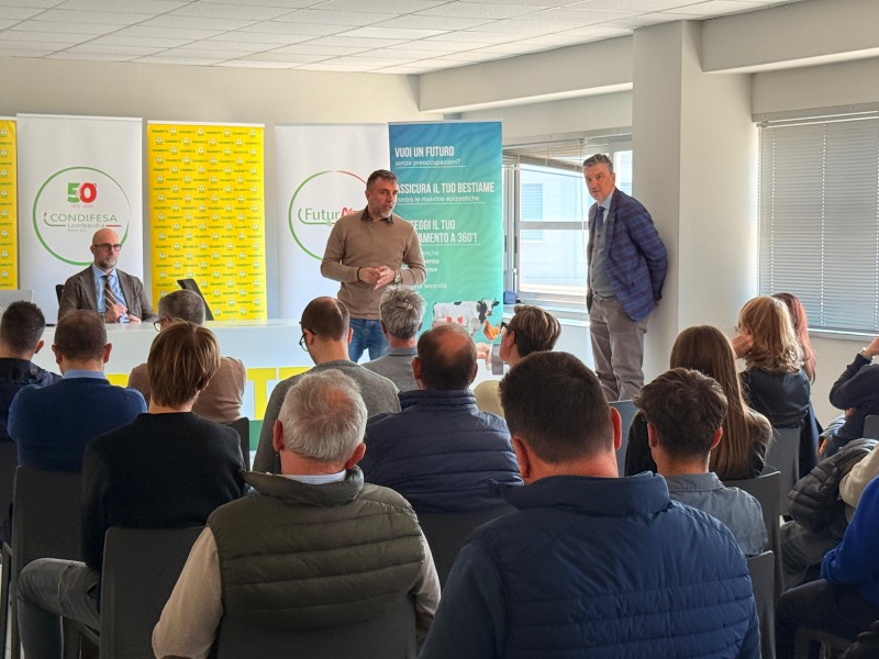 Iengo,_Marino_e_Mazzucotelli.jpeg (108 KB)