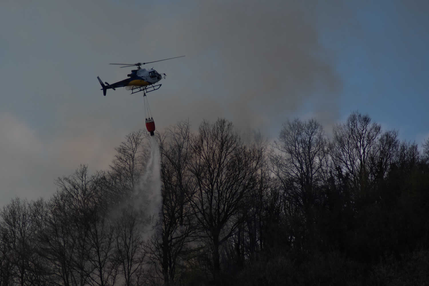 IncendioFotoLettore.jpg (83 KB)