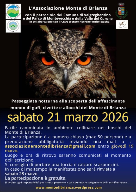 Locandina_Gufi_2026.jpeg (133 KB)