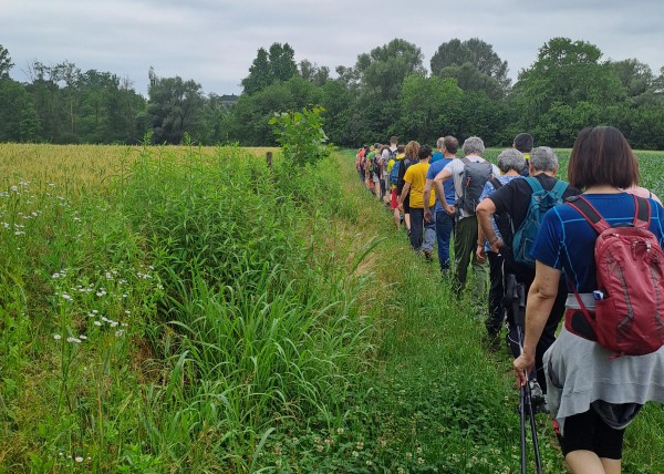 Nove_itinerari_alla_scoperta_del_territorio.jpg (229 KB)