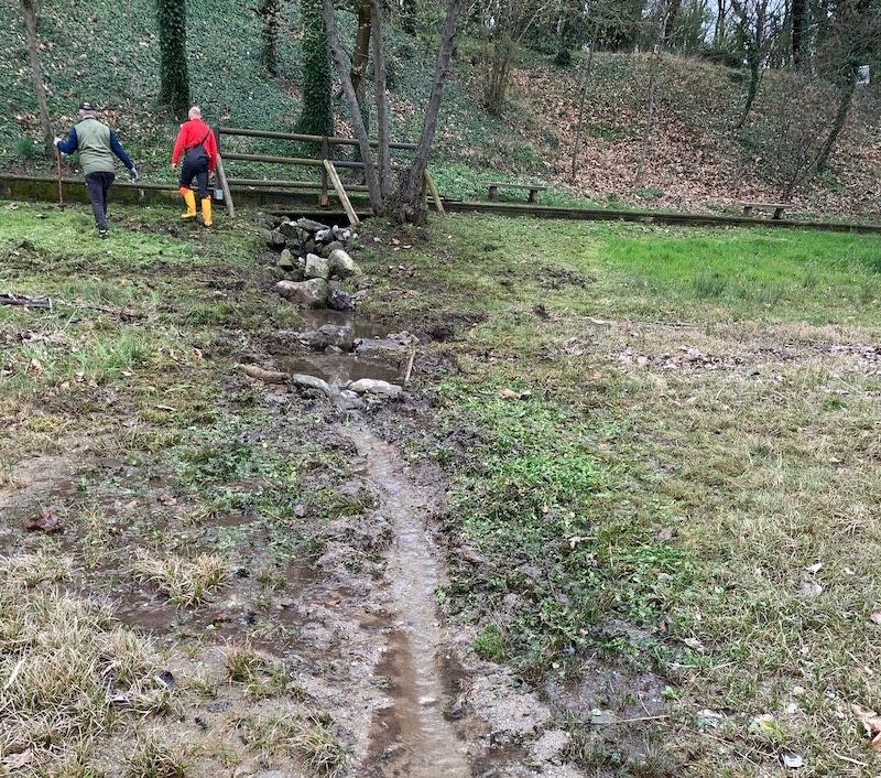 Rogeno_pulizia_lago00003.jpg (355 KB)