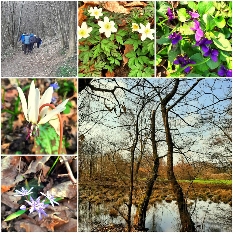 WhatsApp_Image_2026-03-03_at_20.27.11_5_.jpeg (280 KB)