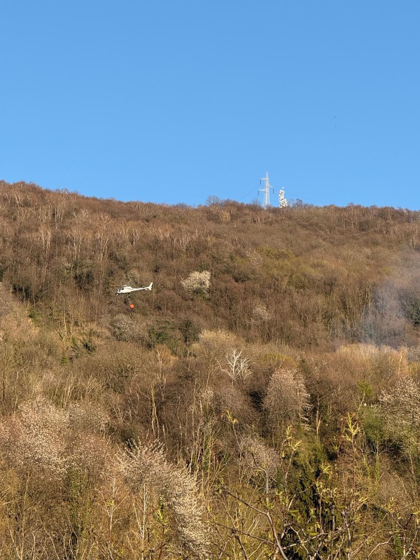 WhatsApp_Image_2026-03-29_at_19.15.52.jpeg (147 KB)