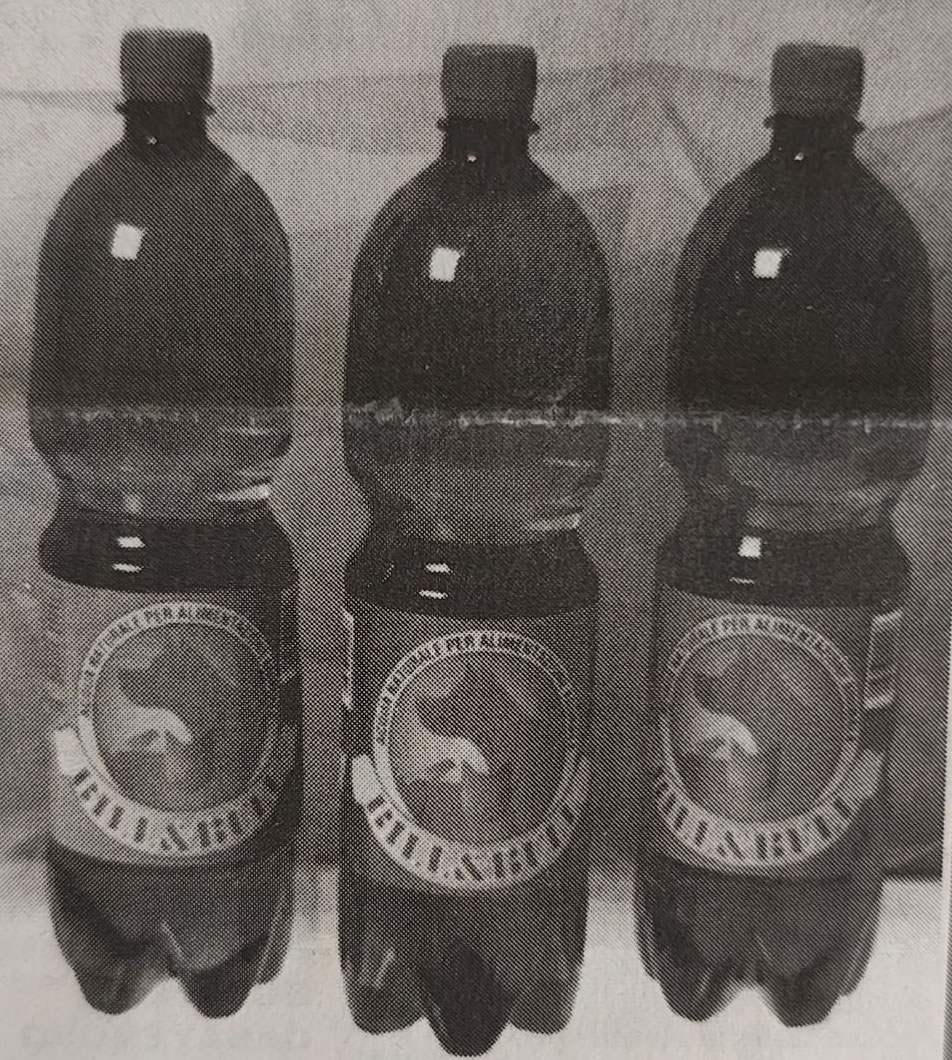 accadeva96_1.jpg (310 KB)