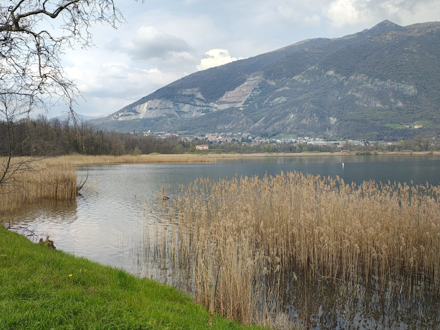 annonelago__1_.jpeg (1.09 MB)