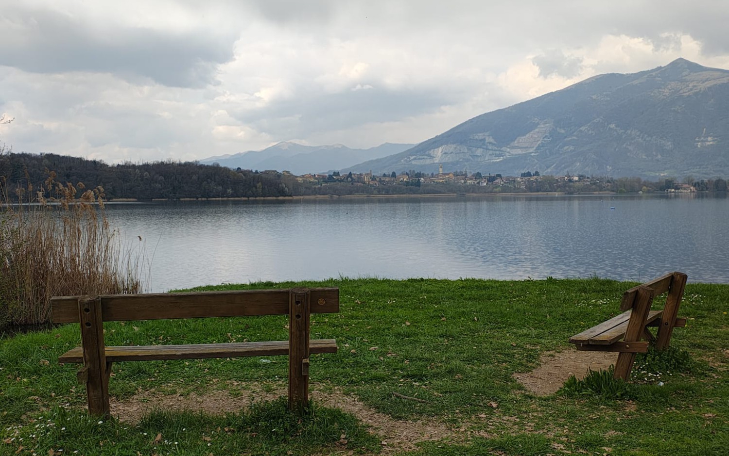 annonelago__3_.jpeg (772 KB)