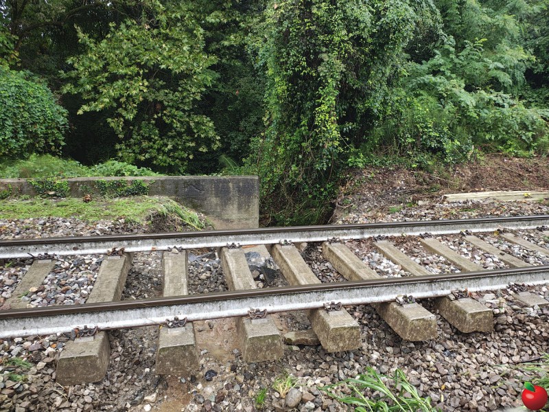 bevera2.JPG (235 KB)