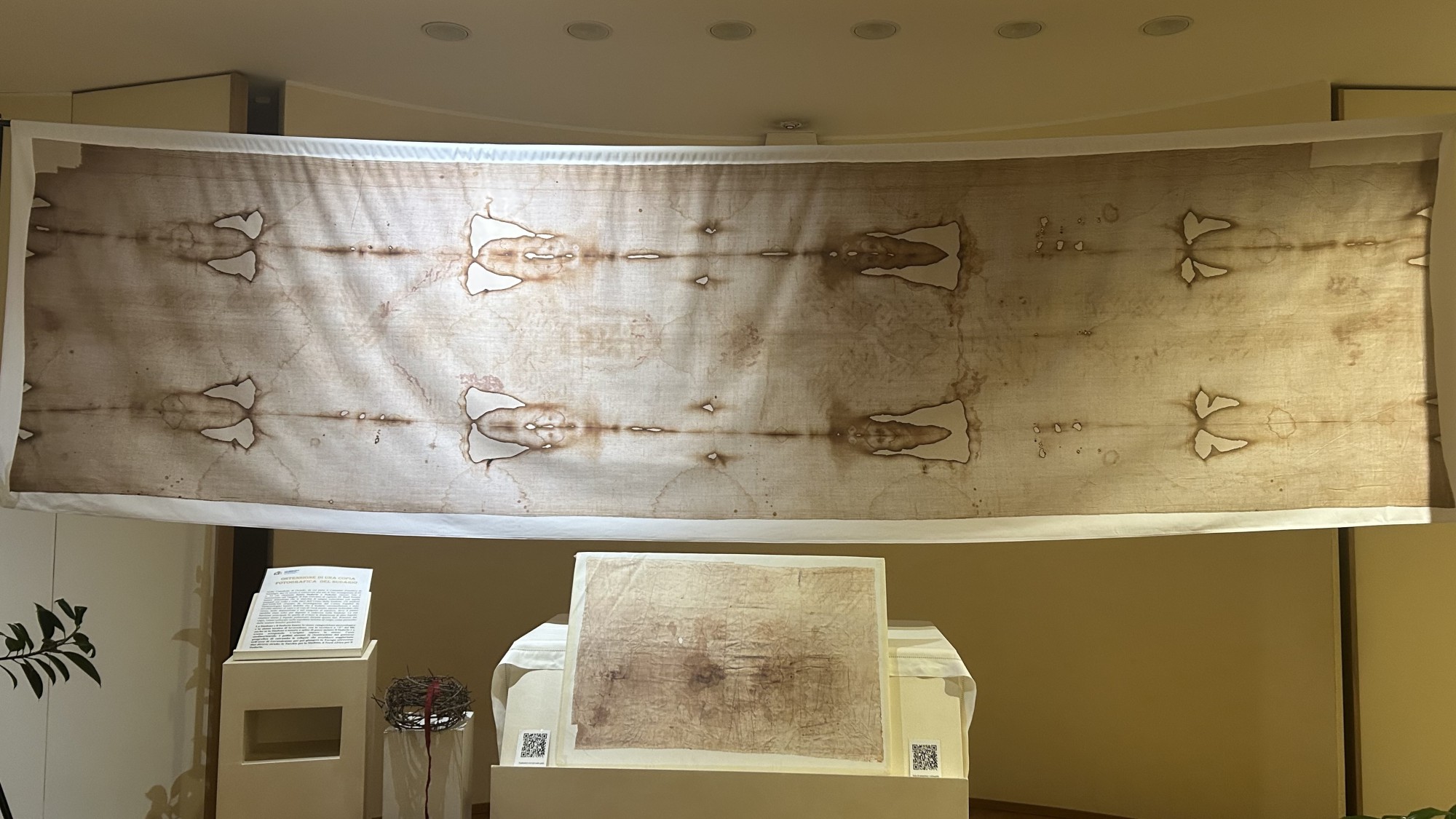 bosisiomostra1.jpg (375 KB)