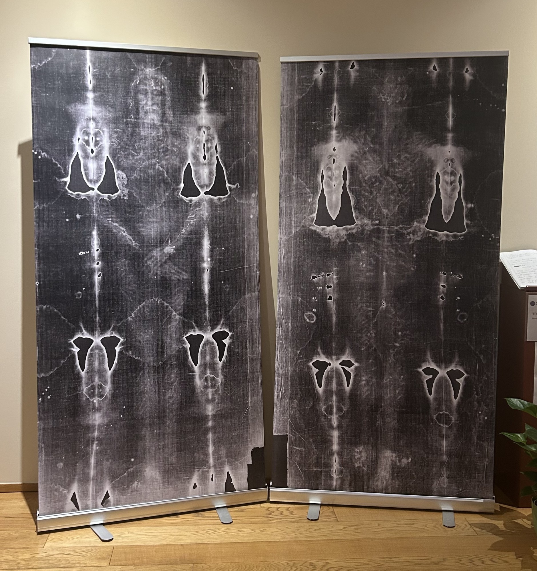 bosisiomostra3.jpg (745 KB)