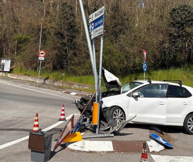 bulciagoschianto.jpg (192 KB)