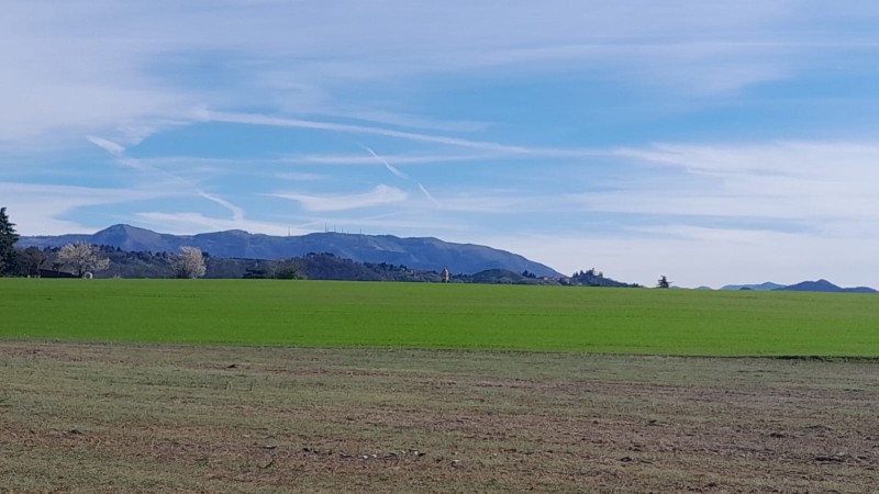 cartoline__2_.jpeg (69 KB)