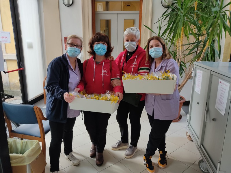 casateseaidodonna__1_.jpeg (118 KB)