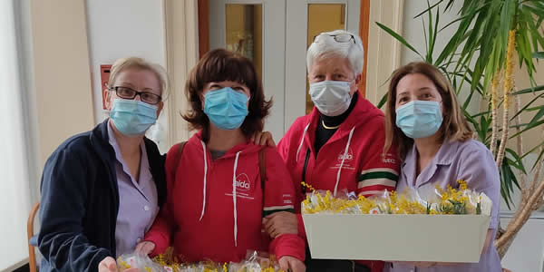 casateseaidodonnapr.jpg (30 KB)