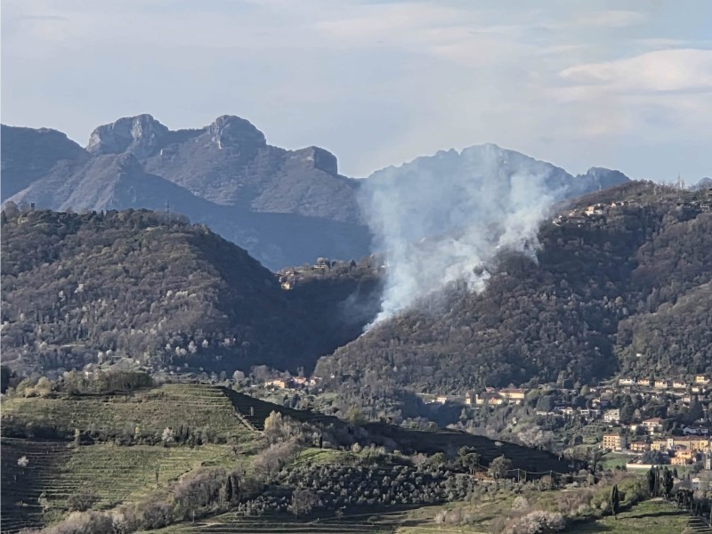 collerogo2.jpg (111 KB)