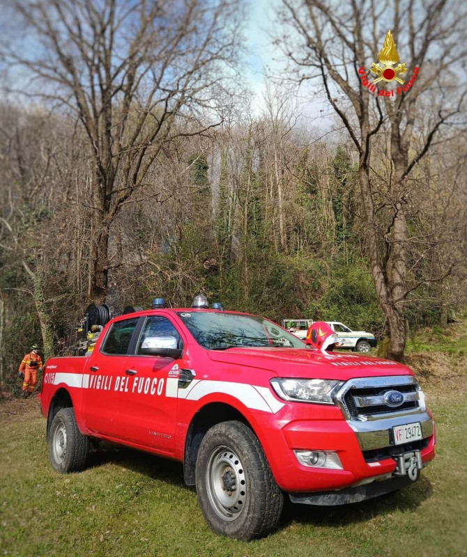 collerogo3.jpg (196 KB)