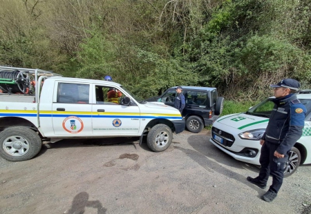 collerogopr.jpg (130 KB)