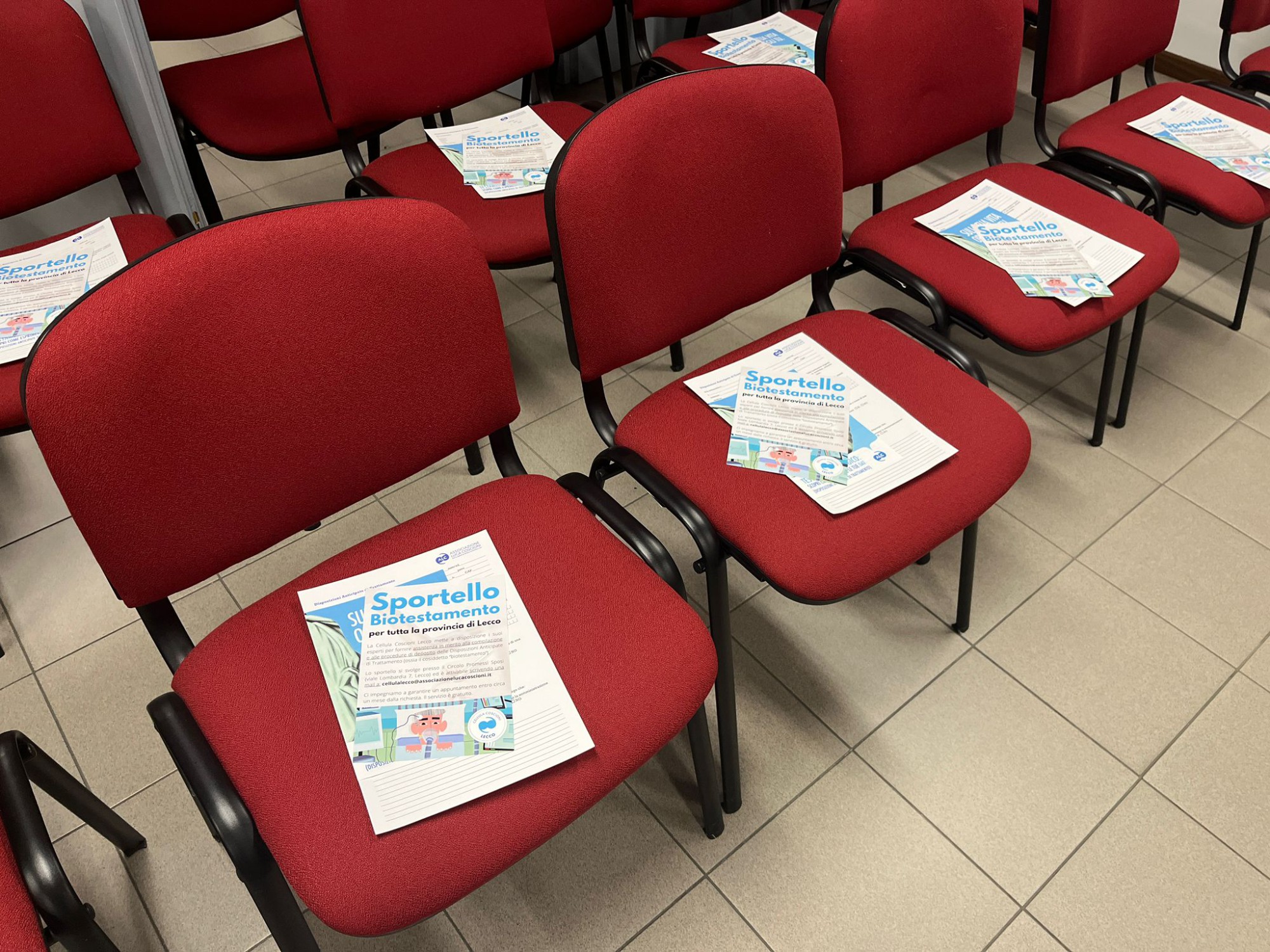 dolzagodat__2_.jpeg (717 KB)