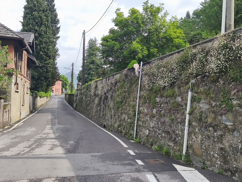 elloviaveneto.jpg (165 KB)