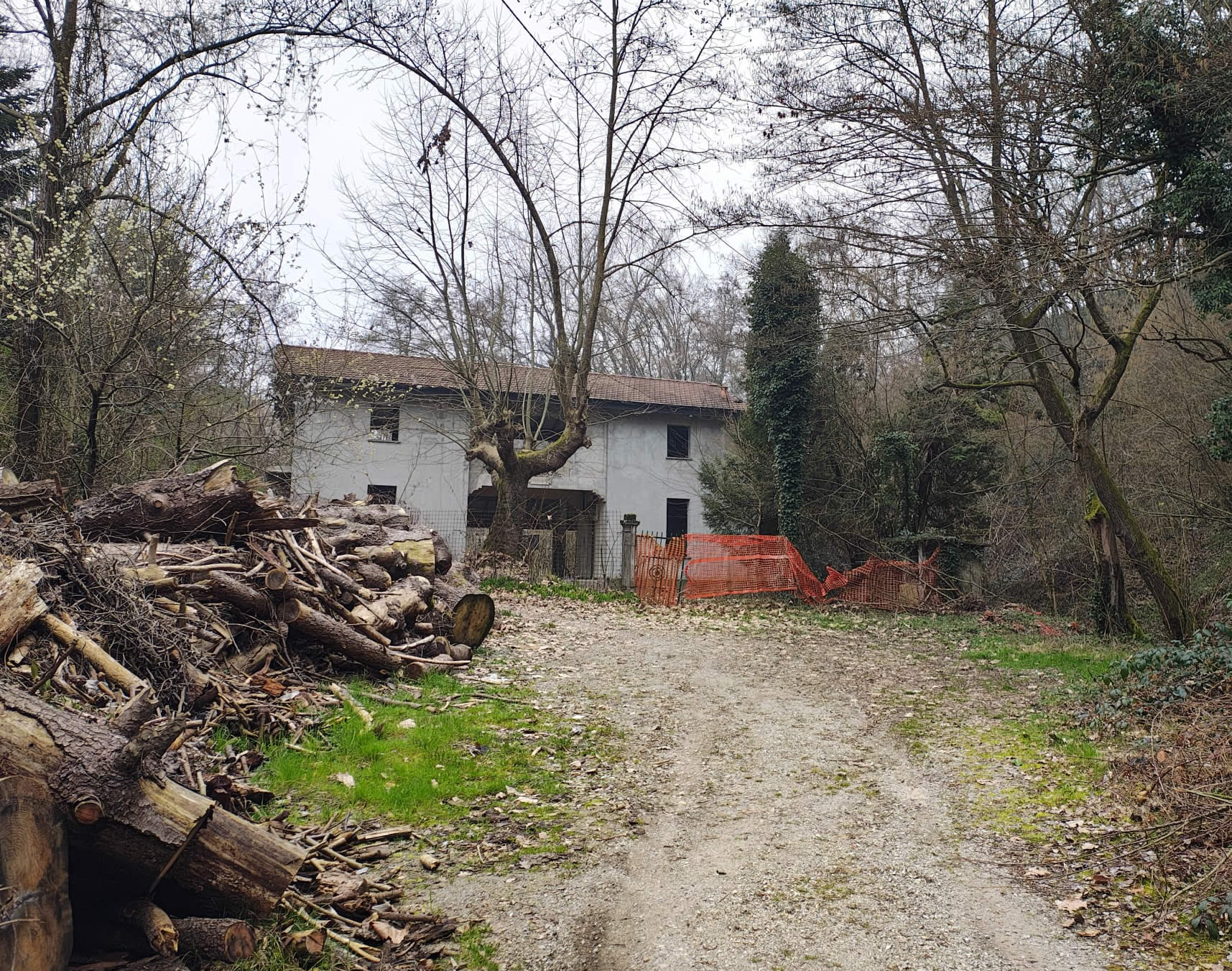 gambaione1.jpg (685 KB)