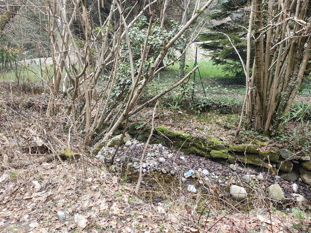 gambaione3.jpg (572 KB)