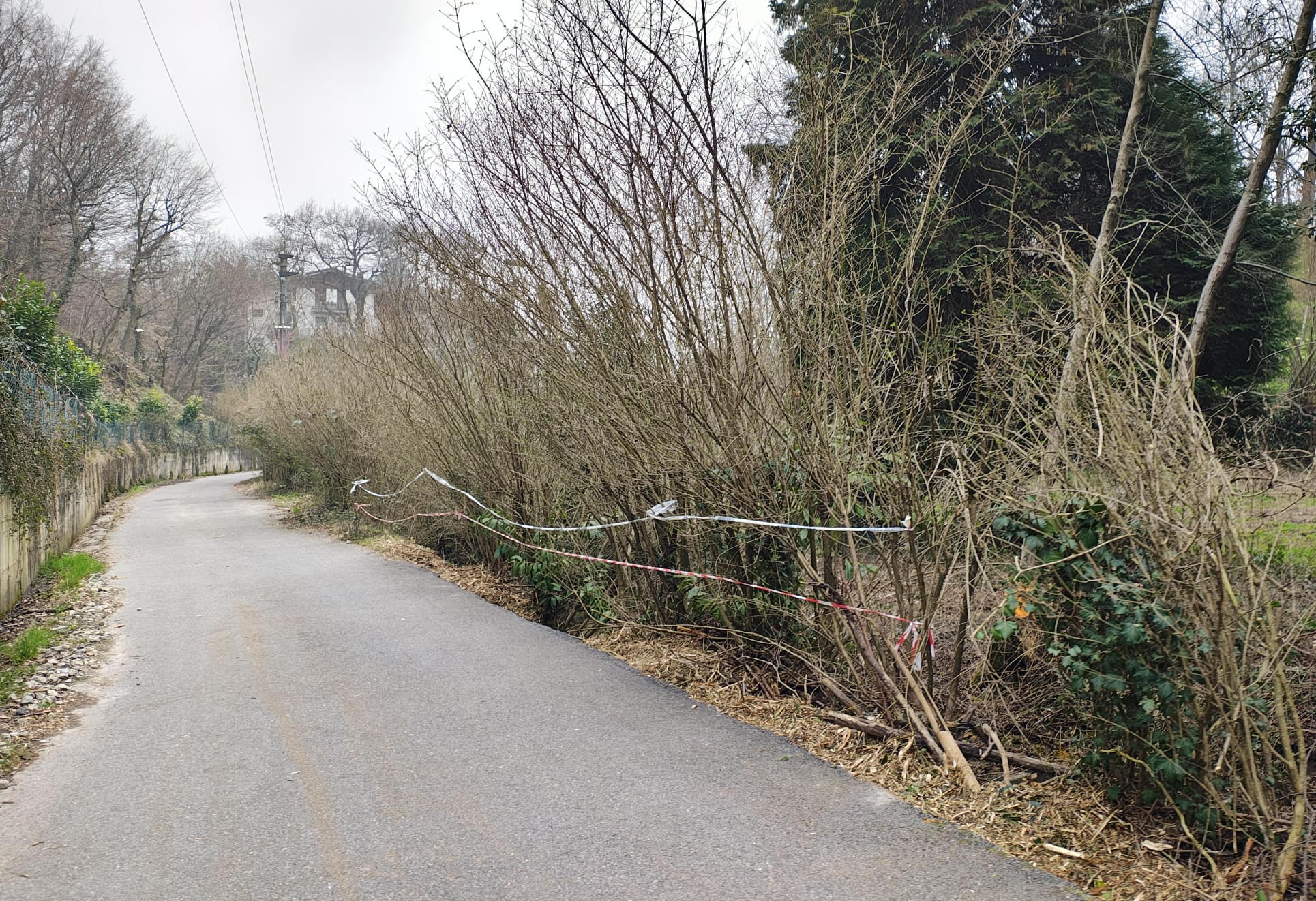 gambaione5.jpg (794 KB)