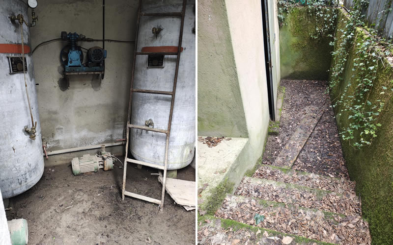 gambaione7.jpg (105 KB)