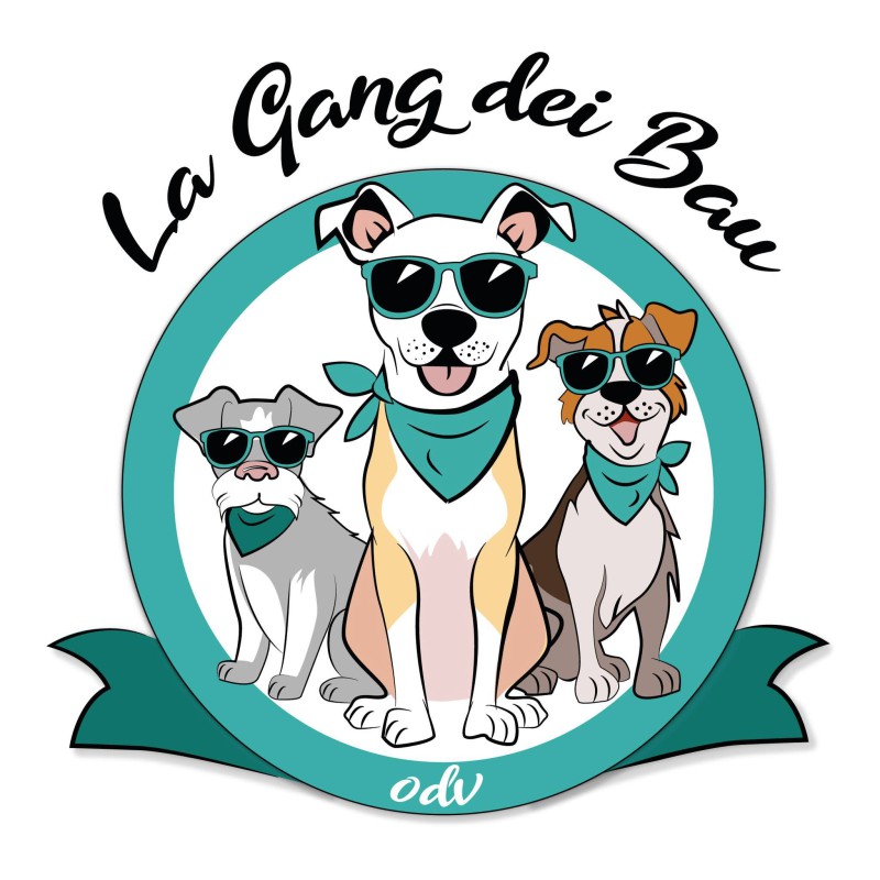 gangbaulogo.jpg (104 KB)