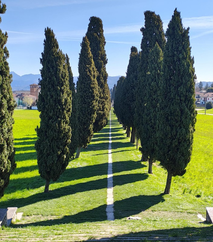 inverigocipressi.jpg (212 KB)