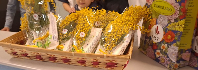 lilt_spirometria2.jpg (72 KB)