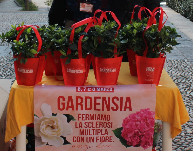 missaglia_aism2.jpg (129 KB)